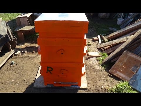 Реставрация улья на 28 рамок, апгрейд пасики