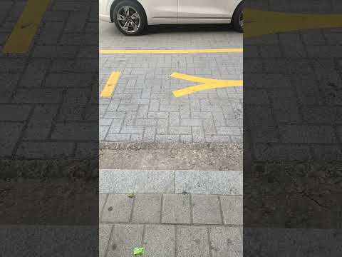 「8월 급여명세서 공개 | 반도체 현장 브이로 #노가다브이로그 #평택반도체