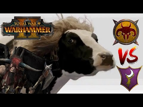 MOOOOOOOOOOOOO? | Beastmen vs Dark Elves - Total War Warhammer 2