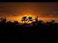 Pole Folder - Brochette State - 80 Hz Sessions (Proton Radio) (01-07-2008)