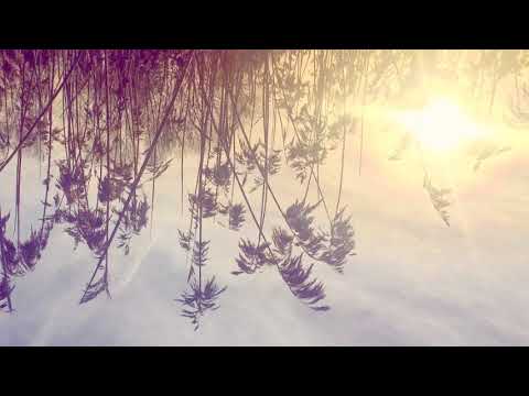 Ane Brun - Into My Arms