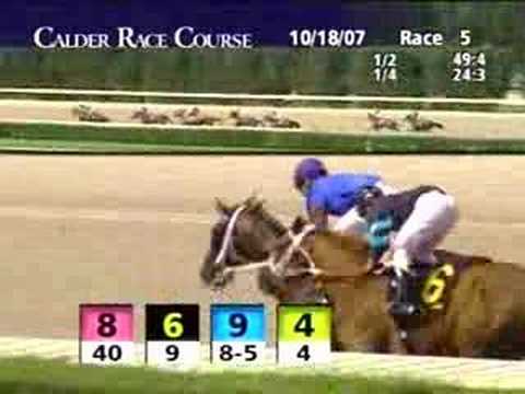 CALDER RACE COURSE, 2007-10-18, Race 5