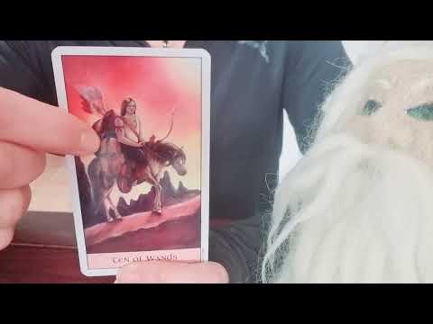 #Neumondorakel 🌖🌑🌔 #Botschaft der Naturwesen vom 21.01. - 20.02.23 🌿🧚🏻‍♀️🤎