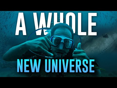 What Scuba-diving taught me about Anxiety and Panic