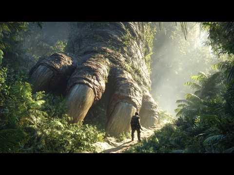 FILME FRAMBOESAS and Procedimentos de filme