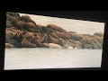 Arctic Tale 2007 Auntie Walrus Sacrifices Her Life To Save Walrus Pup