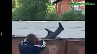 ЛУЧШИЕ ПРИКОЛЫ 2018ССС Форд Боярд