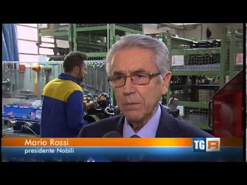 RAI 3 TGR Emilia Romagna 13 gennaio 2015