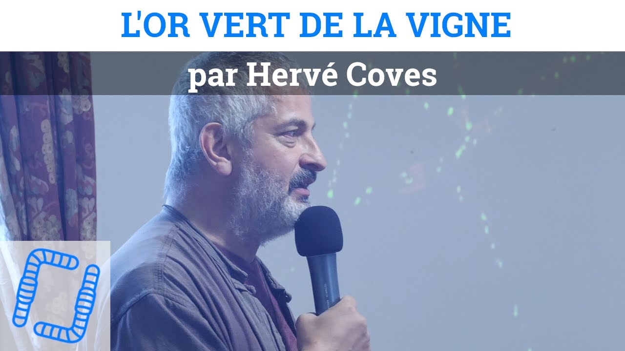 L'or vert de la vigne, par Hervé Coves