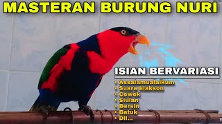 Download lagu MASTERAN BURUNG NURI KEPALA HITAM GACOR BISA NGOMONG ISIAN SUARA BERVARIASI mp3