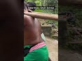 Sabarimala Ayyappa Swamy Temple Updates Daily News Pallikattu Sabarimalaiki Whatsapp Status