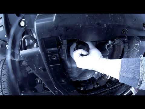 2019 Honda Civic Complete Oil Change with Maintenance Reset