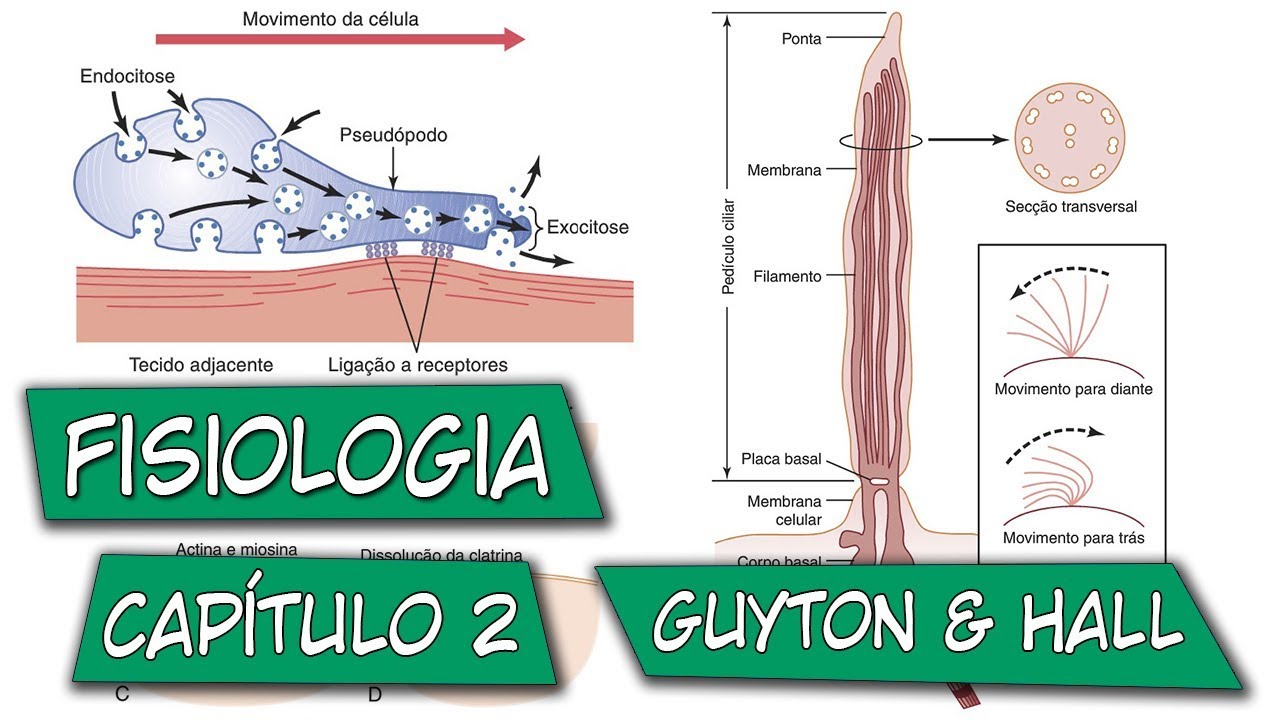 Fisiologia - A Célula e Suas Funções (Capítulo 2)