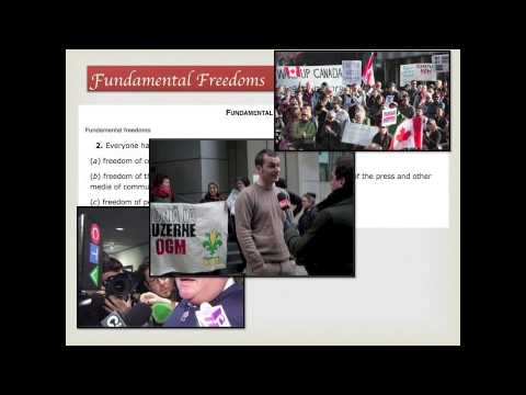 Social Studies 9 Justice Unit - The Charter of Rights and Freedoms