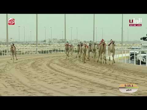 ش 4 (مولع) لـ هجن العاصفة 7:32:07  ، مهرجان ختامي الشحانية 2026/04/23 لقايا