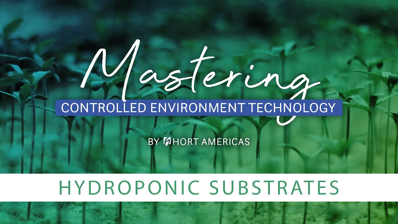 Mastering Hydroponic Substrates