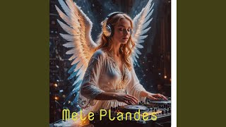 Download lagu Mele tujak mp3