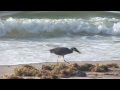 "Fields of Light" from the album Reiki Om - Footage from the DVD "A Year of Guided Meditations"