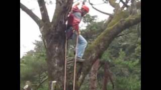 preview picture of video 'Tree climbing at Gero spa town'