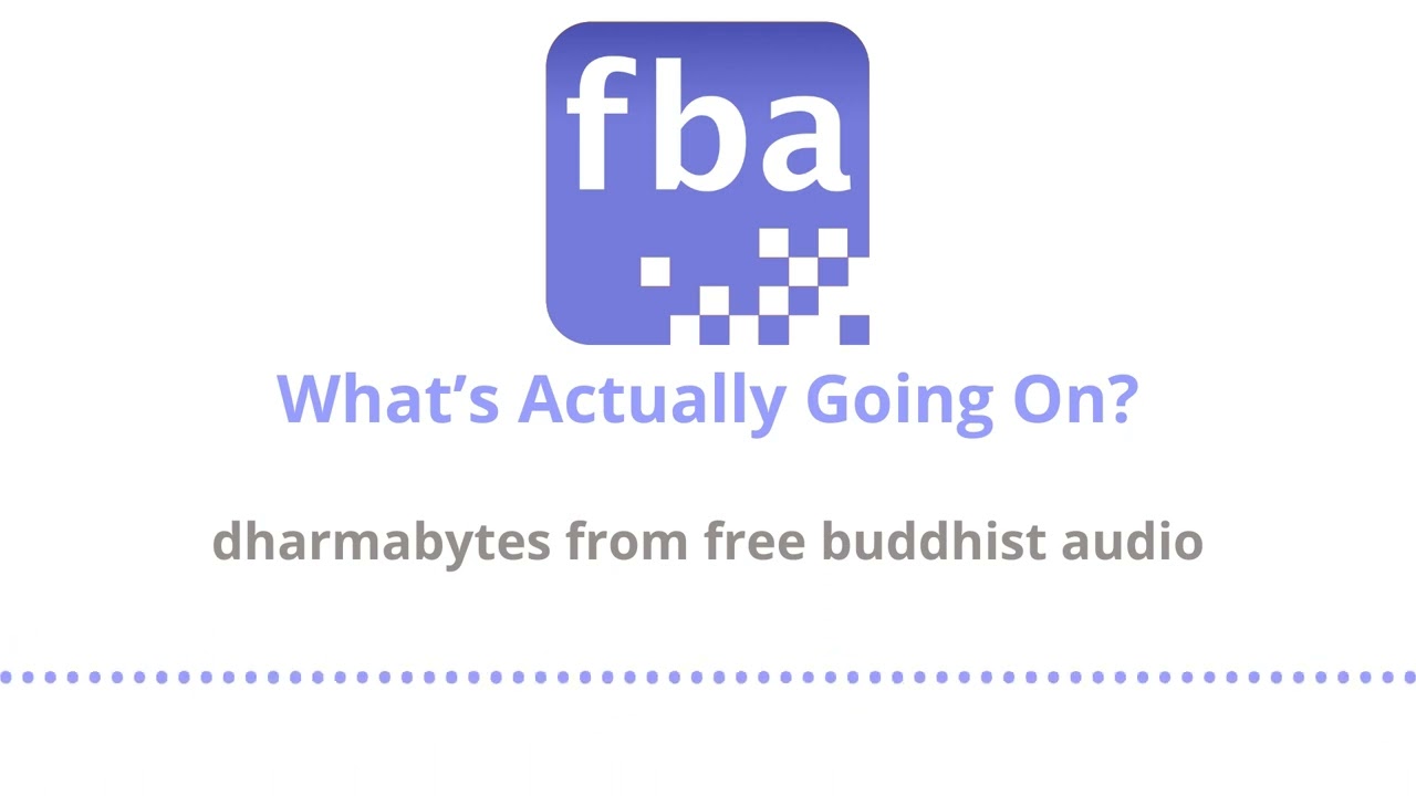 What’s Actually Going On? [Dharmabytes Podcast Episode]