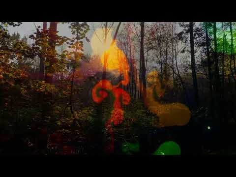 Kyrra SkΓ³gr (Calming Forest)