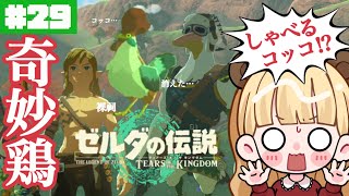 目指せイチカラ村！喋るコッコ？消えたコッコ？動物たちの噂に迫る…！#29【ゼルダの伝説 ティアーズ オブ ザ キングダム】