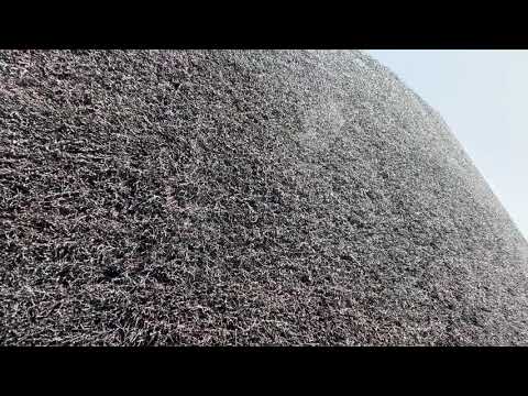 Busko-Zdrój. Tężnia (28.04.2021)