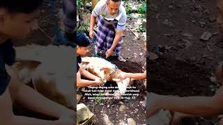 Download lagu Sambut Idul Adha 2024 #shorts mp3 Download lagu Sambut Idul Adha 2024 #shorts mp3