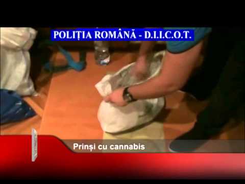 Prinși cu cannabis