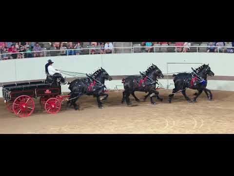 Classic Series Six Horse Hitch at the 2025 Indiana State Fair