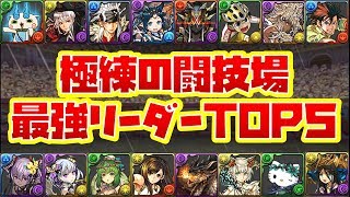 【爆速】明日から周回できる！極練周回リーダーTOP5【パズドラ】