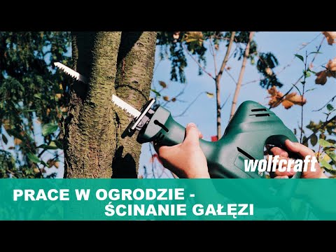 2295000_CV-Sabre-Saw-Blades-tree-trimming-rough-cut_PRO_MCP_pl_2019.mp4