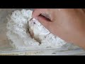 킁킁 맛있는 냄새 사막쥐寝ながら食べるネズミ