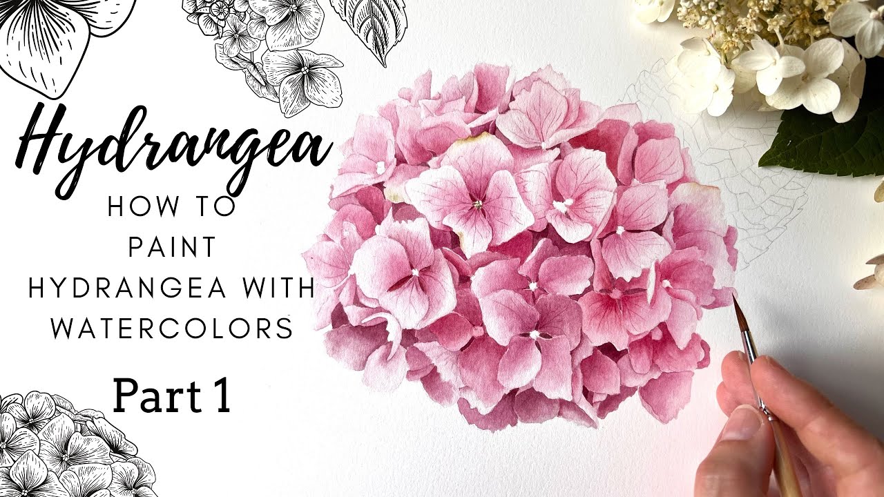 How To Paint Hydrangea with Watercolors 💗 Part 1 💗 Realistic Hydrangea 💗 Pink Flower Art