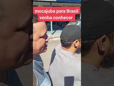 # mocajuba para