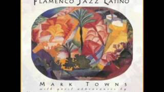 After the Rain - Mark Towns Latin Jazz