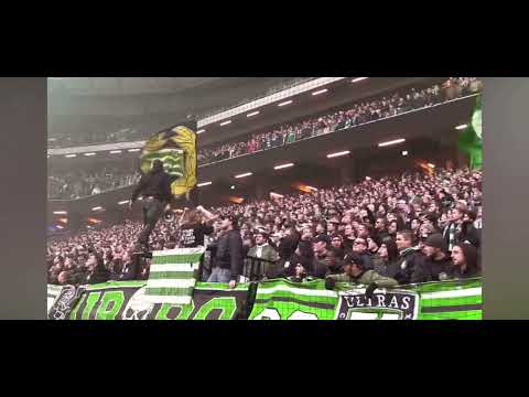 Heja Hammarby