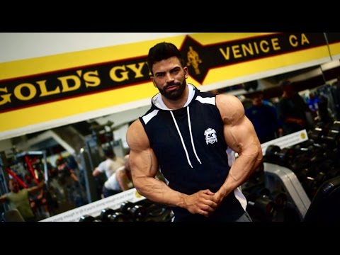 Sergi Constance Vlog 5 - Shoulder workout and Q&A