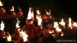 preview picture of video 'Laschinger PumpkinFest 2011'