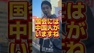 【平野雨龍】日本に既にいる帰化人政治家を大暴露…　#政治 #与党 #公明党 #立憲民主党
