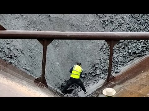 Barge unloads 3500 tons of phosphate ore - Video from the start of unloading the first wooden plank