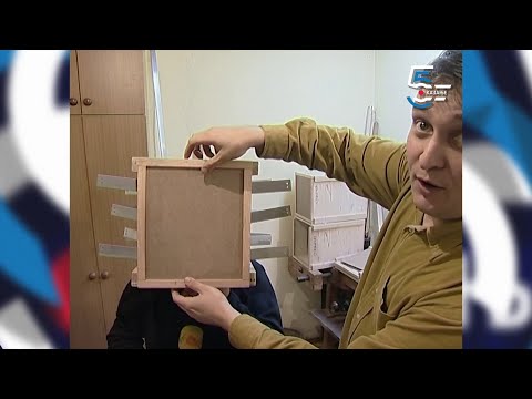 Magija i iluzija - Borino 5kazanje