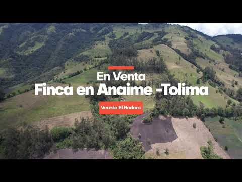 Se Vende Finca de 20 Hectáreas – Vereda El Ródano (Anaime, Cajamarca - Tolima)