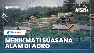 Agrowisata California di Konawe Selatan, Tempat Wisata yang Suguhkan Pemandangan Alam hingga Berkuda