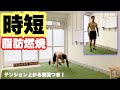 【2分だけ!!】時短で追い込む筋トレ!!休憩なし!!