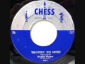 Muddy Waters - Trouble No More