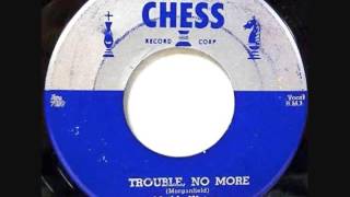 Muddy Waters - Trouble No More