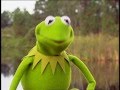 Muppets On The Set With Kermit