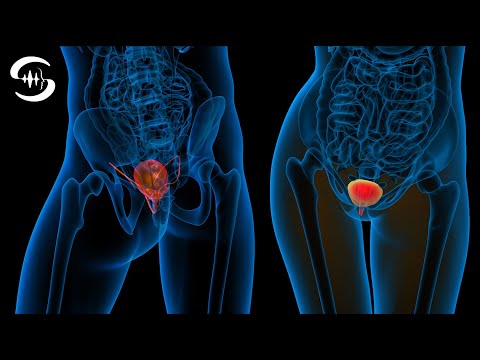 Bladder Healing Frequencies. - Heal & Clean Bladder (Rife Frequency 352 Hz)