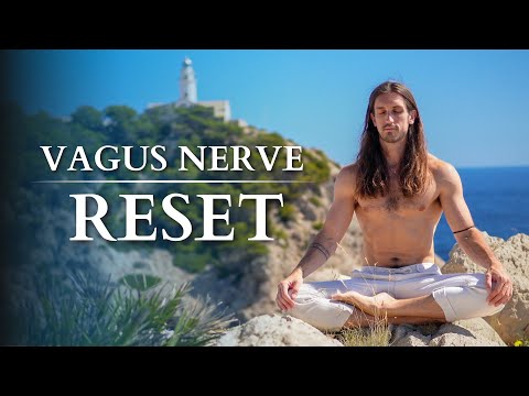 5 Minute Vagus Nerve Reset | Stop Anxiety Fast